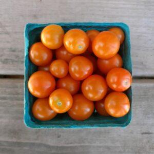 Sungold cherry tomatoes - Rusty Plow Farms