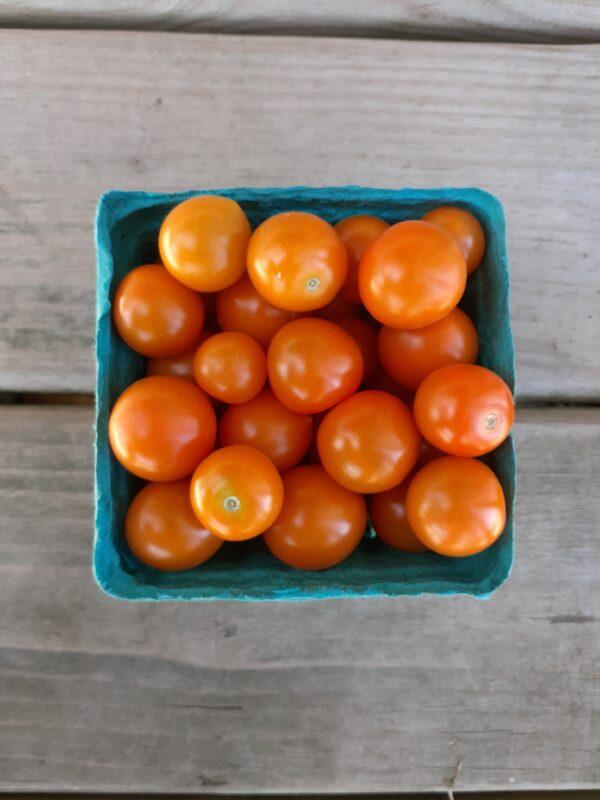 Sungold cherry tomatoes - Rusty Plow Farms