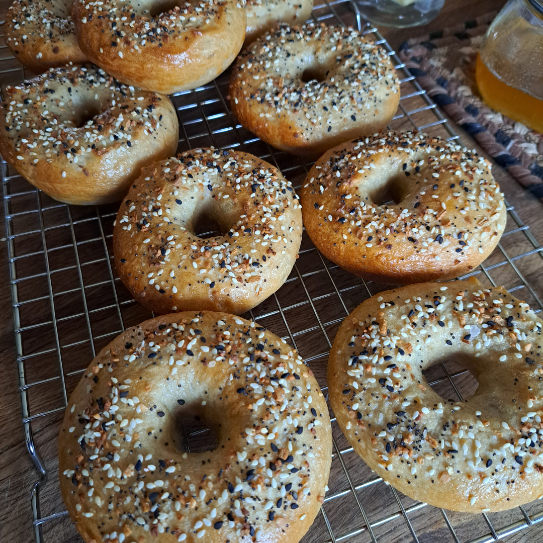 homemade bagels - Rusty Plow Farms blog
